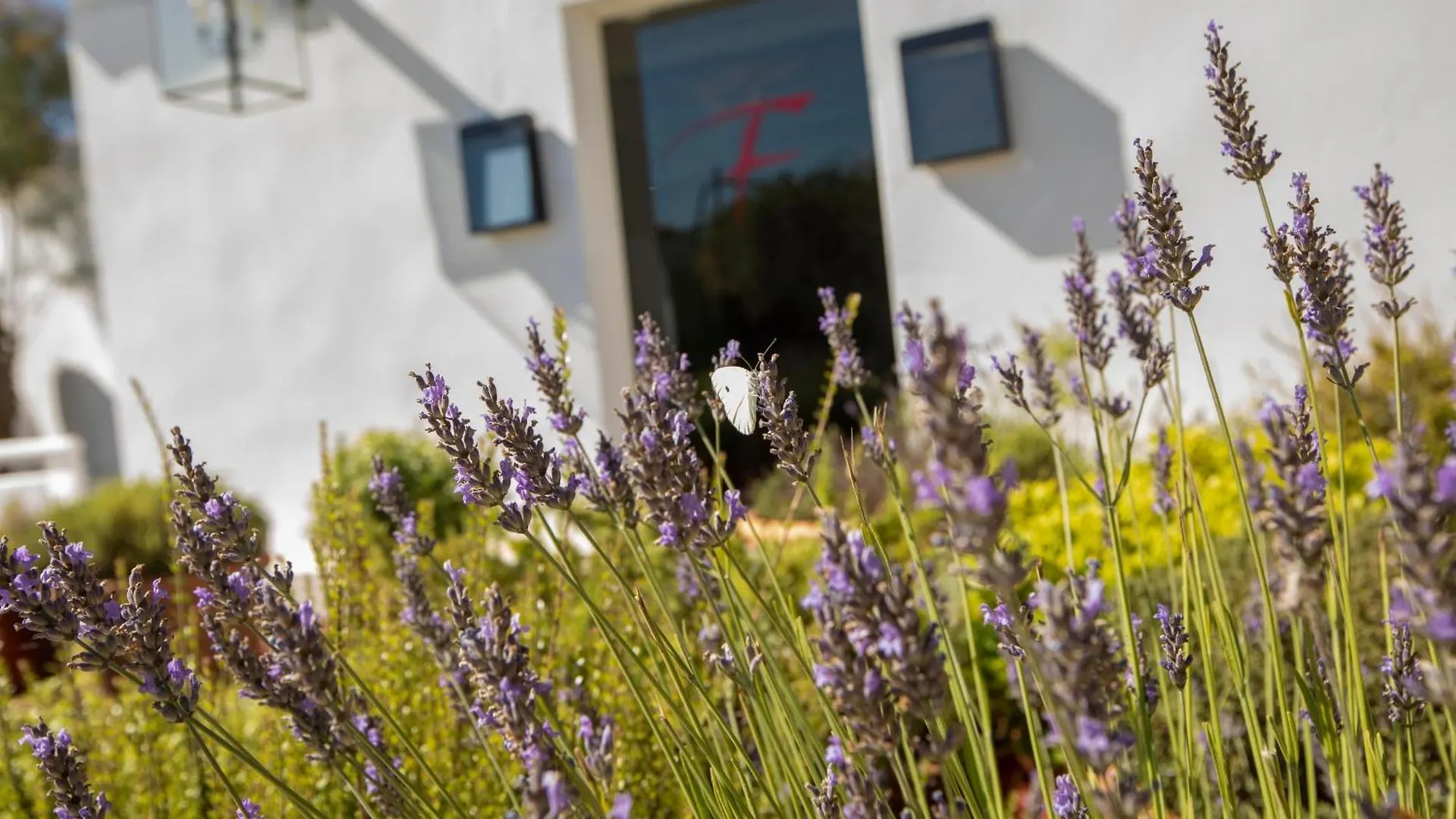 ****  Mas De La Fouque - Hotel & Spa Saintes-Maries-de-la-Mer France